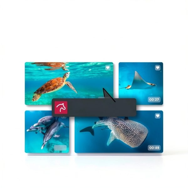 Video Deluxe 2026 by proDAD AI Editing Suite with 1,700 Effects-4